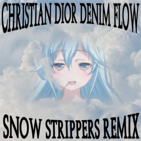 christian dior dior lyrics|christian dior denim flow lyrics.